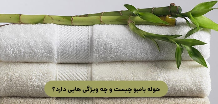 حوله بامبو چیست و چه ویژگی هایی دارد؟